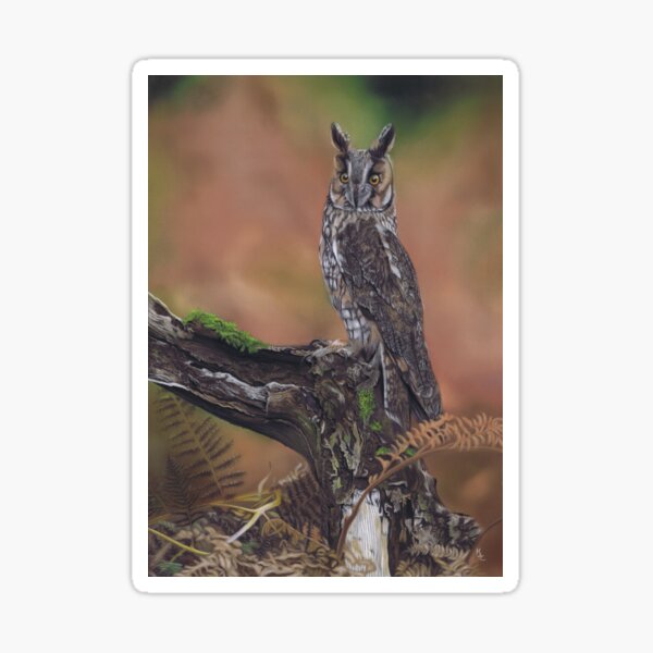 Long earred owl painting in pastel Sticker