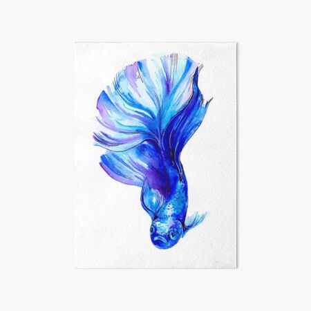 Betta Fish Blue Art Board Print