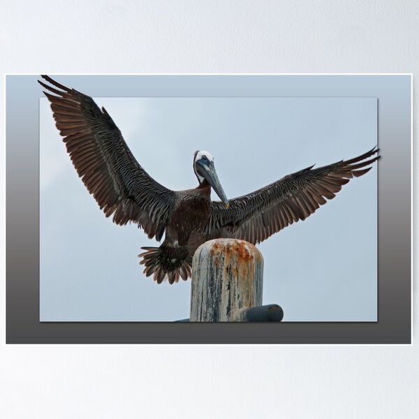 Item preview, Brown Pelican coming in for the landing designed and sold by Bonnie T.  Barry.
