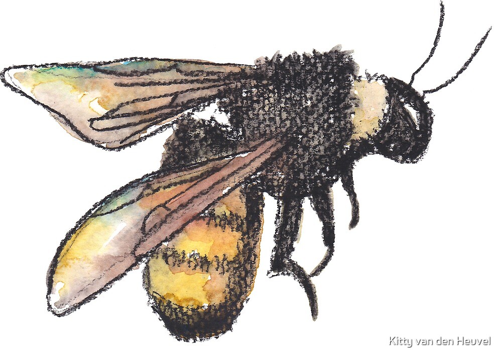 Bee Watercolour Painting By Kitty Van Den Heuvel Redbubble   Flat,1000x1000,075,f.u3 