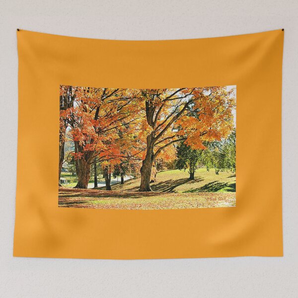 Item preview, "Fall Season at Mountain Home, Tennessee," Photo, prints and products designed and sold by Bob Hall©.