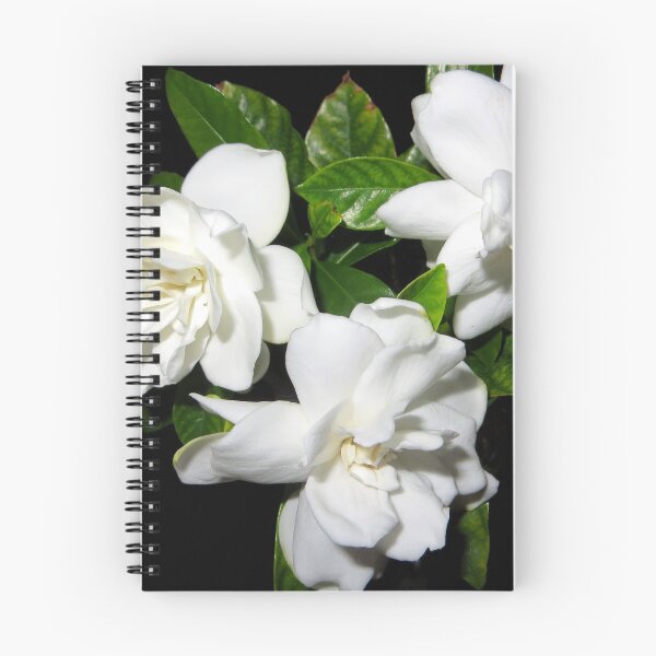 Item preview, Gardenias For Mom designed and sold by AuntDot.