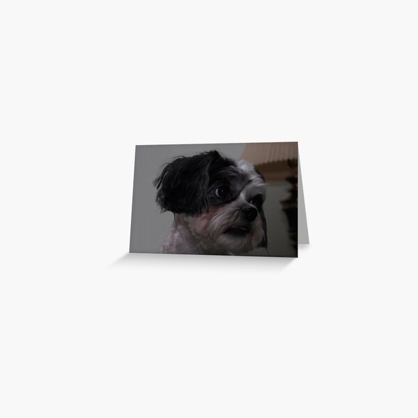 " Daisey " Greeting Card