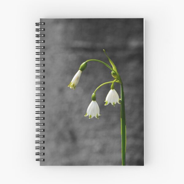 Item preview, Snow Drop In Grey designed and sold by absurdphotos.