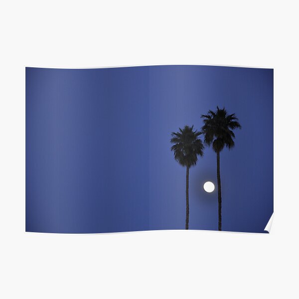And They Danced by the Light of the Moon Poster