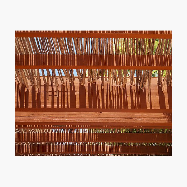 Twigs Photographic Print