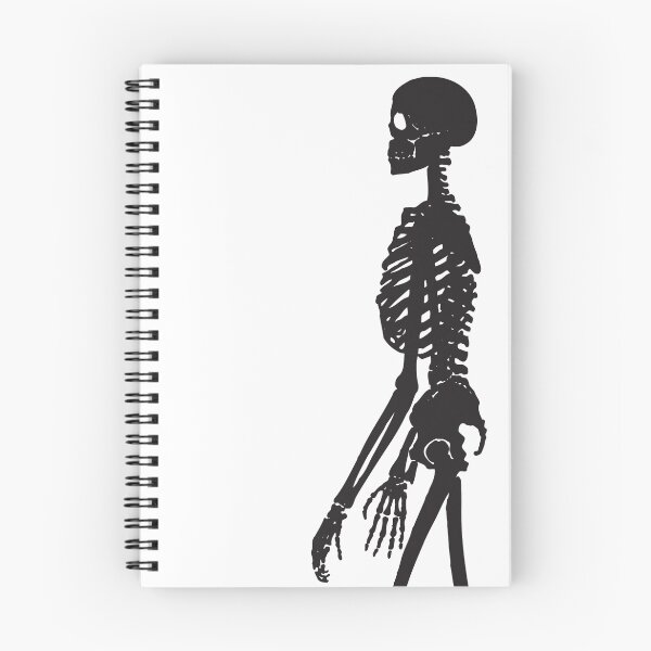 Item preview, Human skeleton (zoom) designed and sold by Smaragdas.