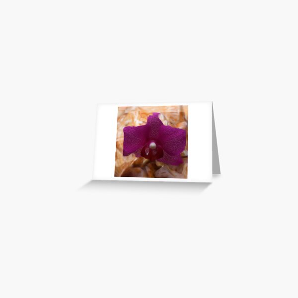 healing shell Greeting Card