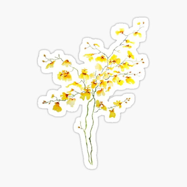 yellow Oncidium Orchid watercolor Sticker