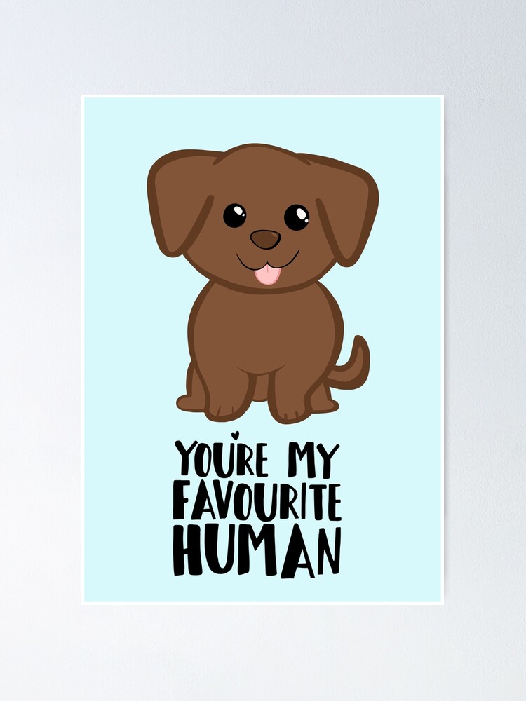 You re my Favourite HUMAN Chocolate Labrador Gifts from dog Poster