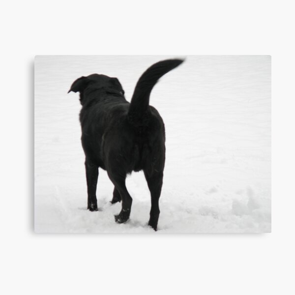 Thor the Adventurer Sets Forth Canvas Print