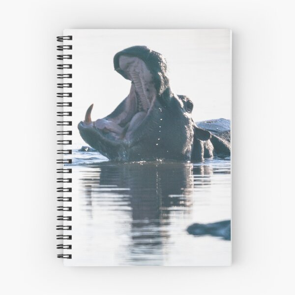 Item preview, Game reserve, Botswana , hippo at sunset designed and sold by ssviluppo.