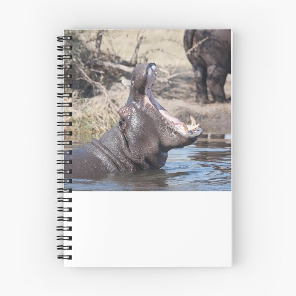 Item preview, Copy of Game reserve, Botswana , hippo at sunset designed and sold by ssviluppo.