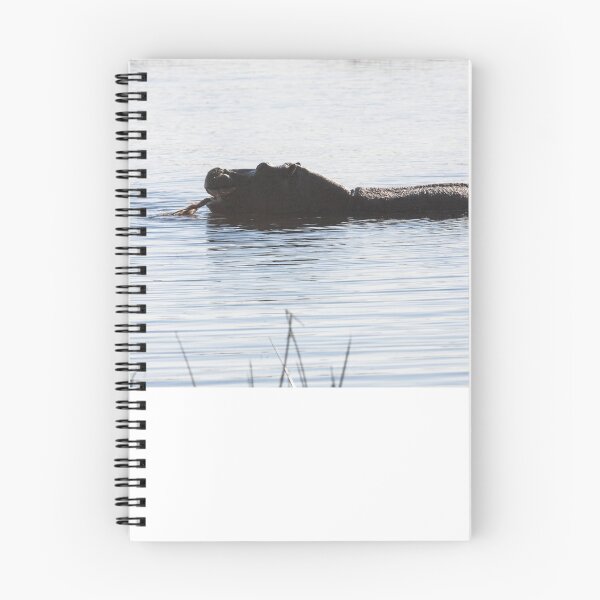 Item preview, Game reserve, Botswana , hippo at sunset designed and sold by ssviluppo.