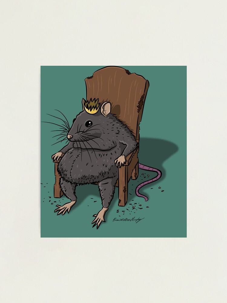 File:Illustration of the rat king Wellcome L0051195.jpg - Wikimedia Commons