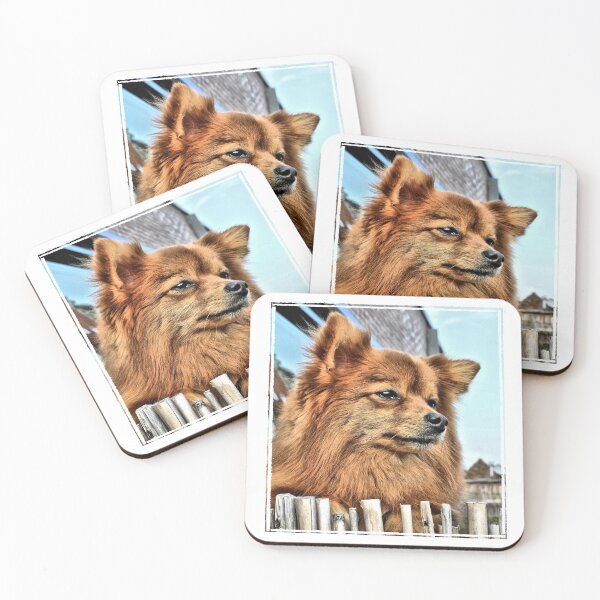 Item preview, Golden Pomeranian dog designed and sold by aapshop.