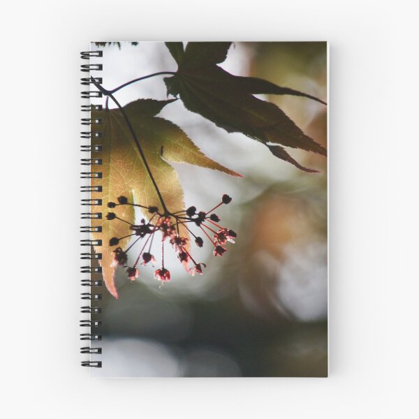 Item preview, Backlit designed and sold by Kirstyshots.