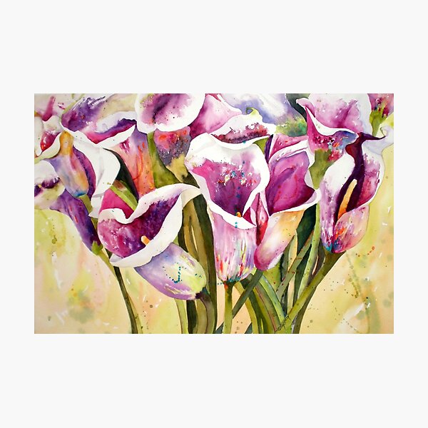 Aperçu de l'œuvre Callas Confetti créée et vendue par Kay Smith.