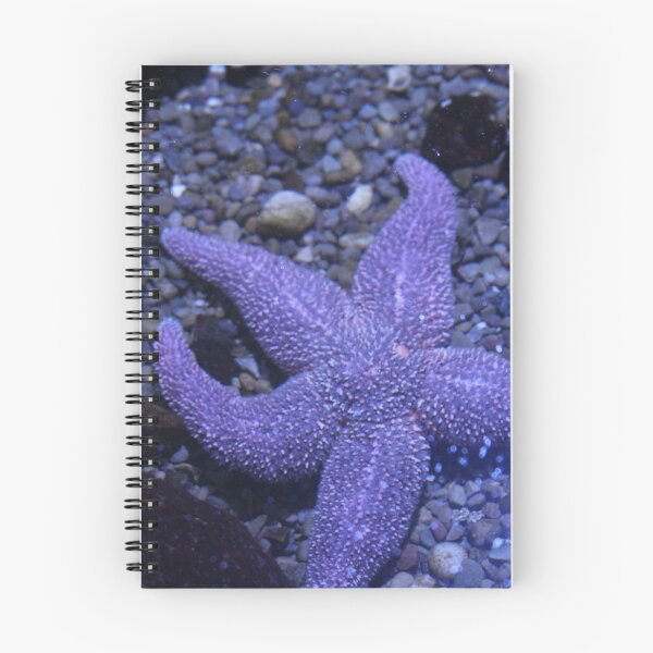 Item preview, 5 Point Starfish designed and sold by suzyrissew.