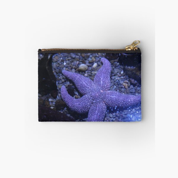 Item preview, 5 Point Starfish designed and sold by suzyrissew.