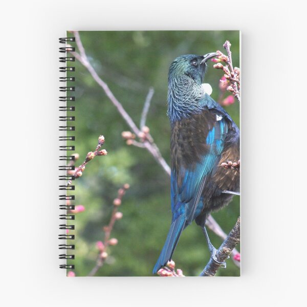 Item preview, Tui......sitting pretty.......! designed and sold by Roy  Massicks.