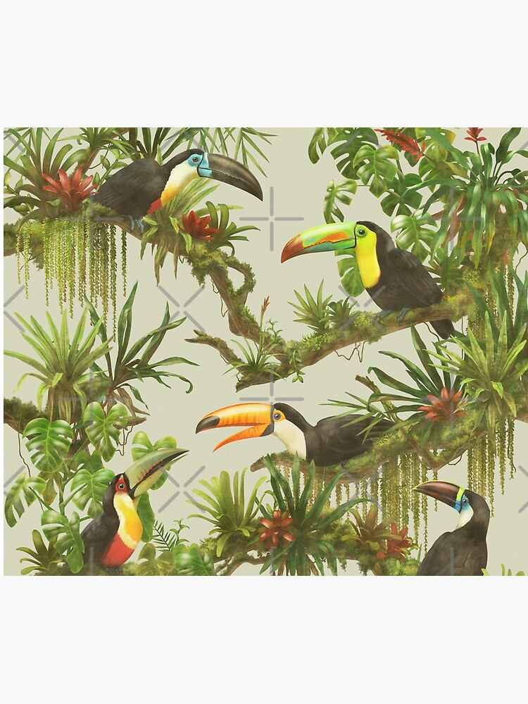 Toucans and bromeliads - canvas background by ikerpazstudio