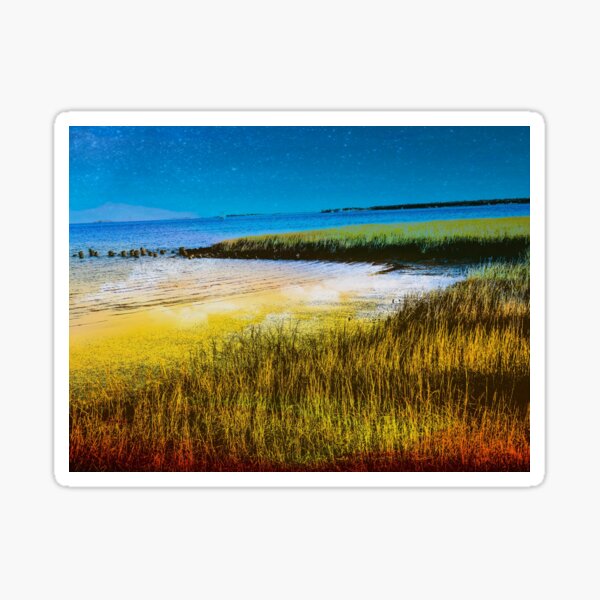 Item preview, Charleston coast designed and sold by kcrystalfriend.