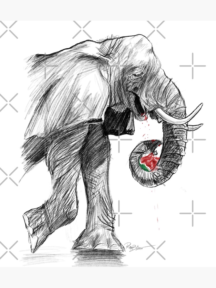 "Elephant eating watermelon" Sticker for Sale by ryanbiddle | Redbubble