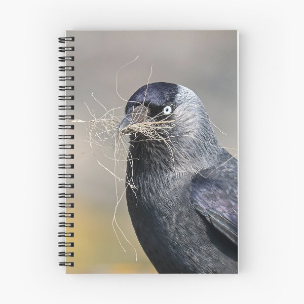 Item preview, Soft furnishings designed and sold by GreyFeatherPhot.