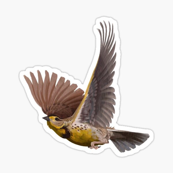 Item preview, Bird - Meadow Lark designed and sold by Altarior.