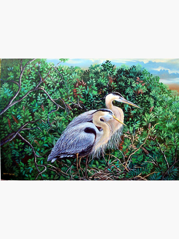 Morning Refuge-Great Blue Heron by cyberhighwaymen