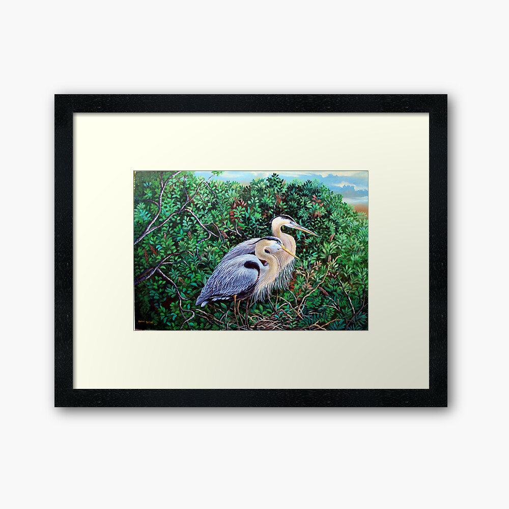 Morning Refuge-Great Blue Heron Framed Art Print