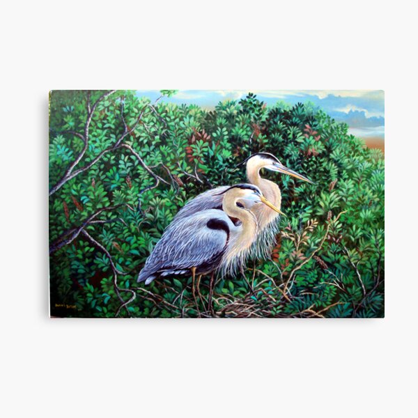 Morning Refuge-Great Blue Heron Canvas Print