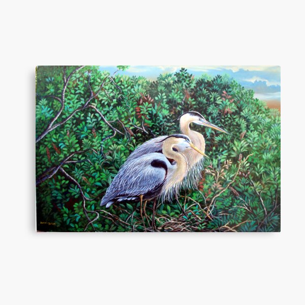 Morning Refuge-Great Blue Heron Metal Print