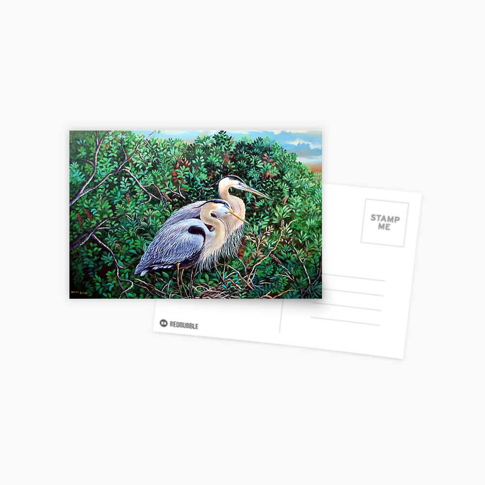 Morning Refuge-Great Blue Heron Postcard