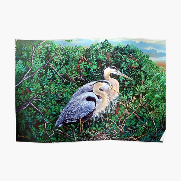 Morning Refuge-Great Blue Heron Poster