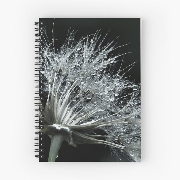 Item preview, Gouttes d'eau sur pissenlit designed and sold by Sylvie Villeneuve.