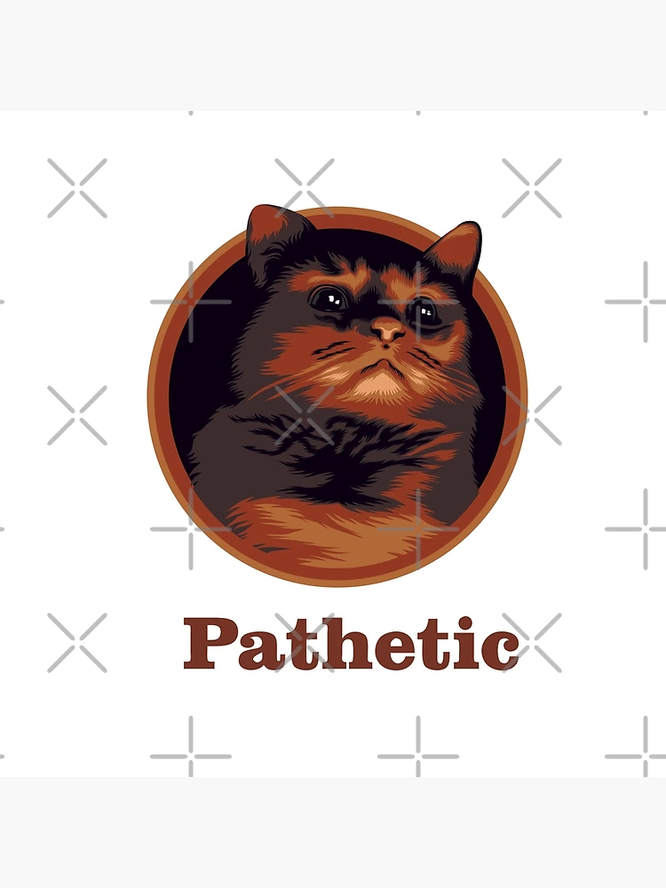 HD Pathetic Cat Meme Face | Poster