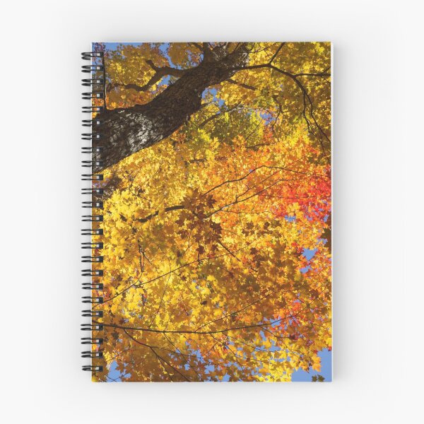 Item preview, Vivid Yellows, Reds and Oranges - the Joy of Autumn Foliage designed and sold by Georgia Mizuleva.
