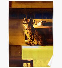 Window Gazer Poster