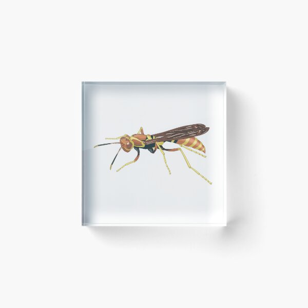 Item preview, Wasp designed and sold by Judge-Hatchet.