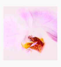 Alluring Photographic Print