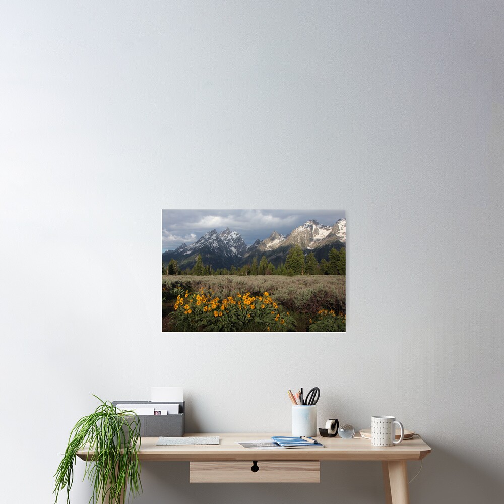 Grand Teton & Mule's Ears Poster