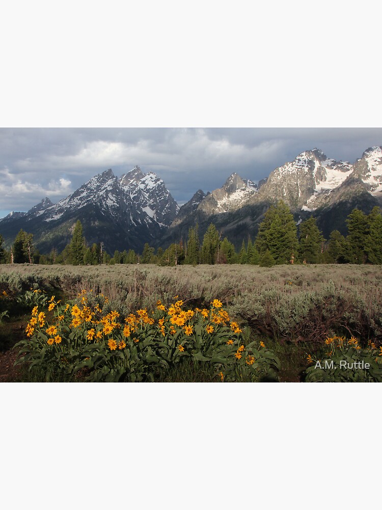 Grand Teton & Mule's Ears by annruttle