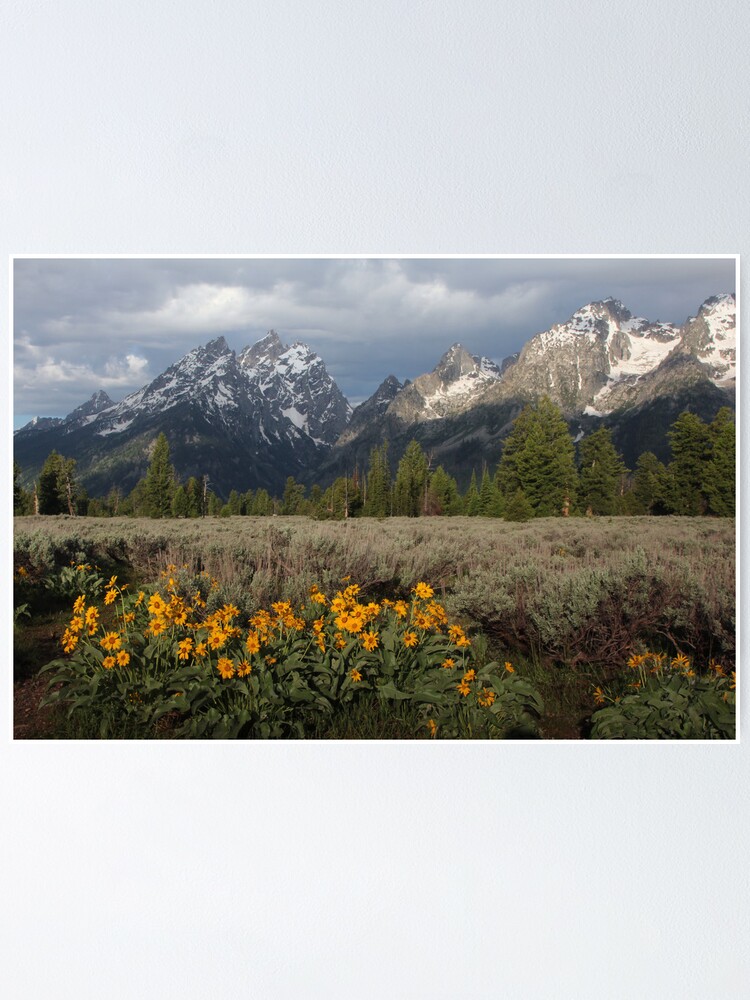 Alternate view of Grand Teton & Mule's Ears Poster