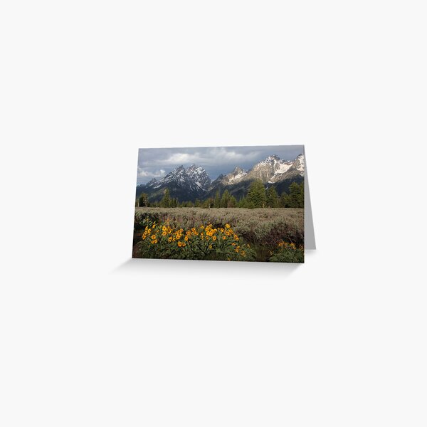Grand Teton & Mule's Ears Greeting Card