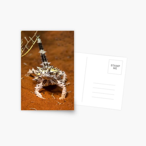 Item preview, Thorny Devil, Outback Australia designed and sold by Andrew Goodall.