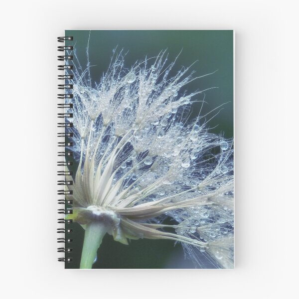 Item preview, Gouttes d'eau sur pissenlit tons de bleu vert designed and sold by Sylvie Villeneuve.