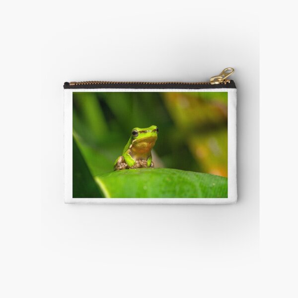 Item preview, Dwarf Tree Frog, Montville Queensland designed and sold by Andrew Goodall.