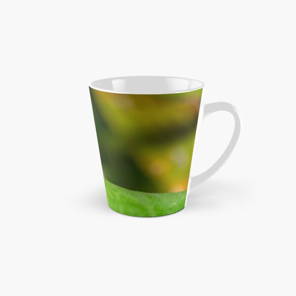 Dwarf Tree Frog, Montville Queensland Tall Mug